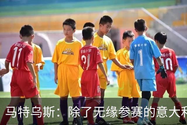 马特乌斯：除了无缘参赛的意大利，德国就是这届最大的失败者